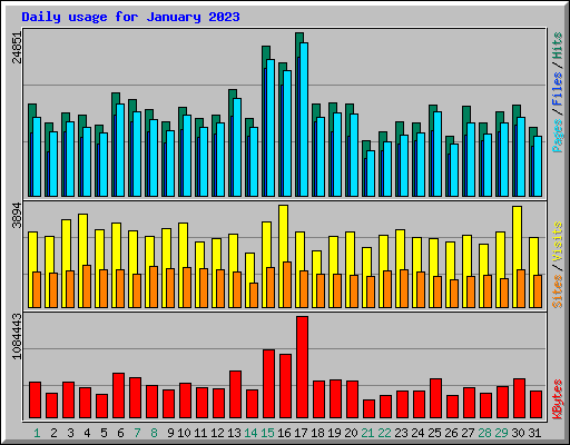 Daily usage for January 2023