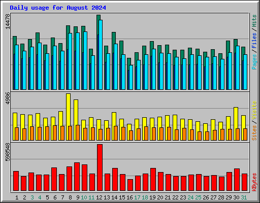Daily usage for August 2024