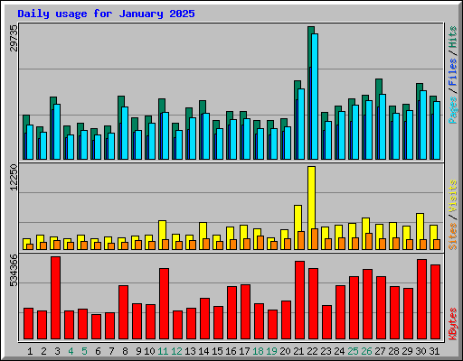 Daily usage for January 2025