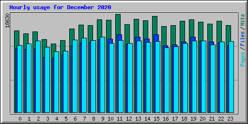 Hourly usage for December 2020