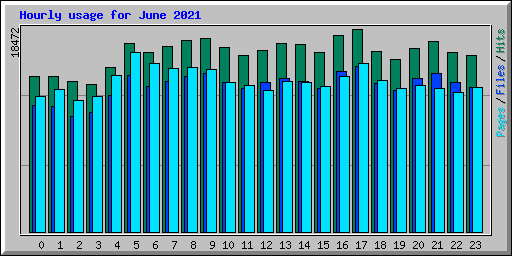 Hourly usage for June 2021