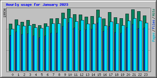 Hourly usage for January 2023