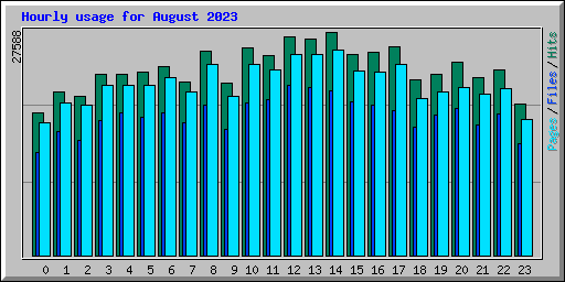 Hourly usage for August 2023