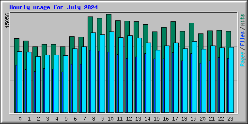 Hourly usage for July 2024