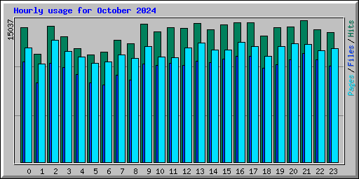 Hourly usage for October 2024