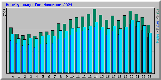 Hourly usage for November 2024