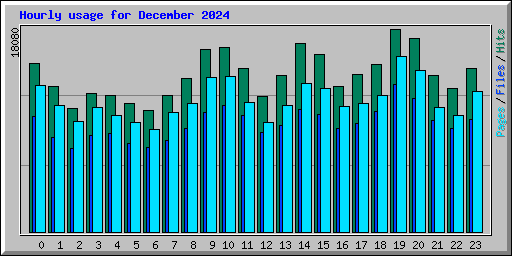 Hourly usage for December 2024