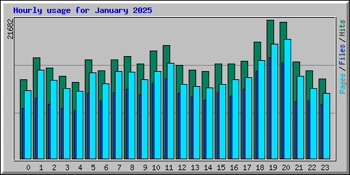 Hourly usage for January 2025