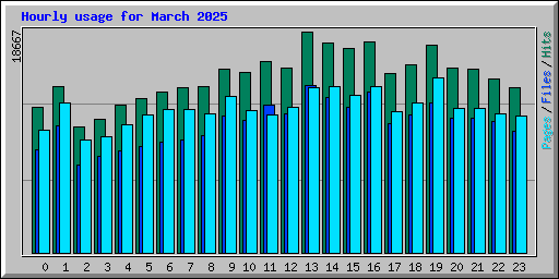 Hourly usage for March 2025