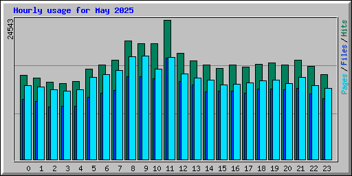 Hourly usage for May 2025