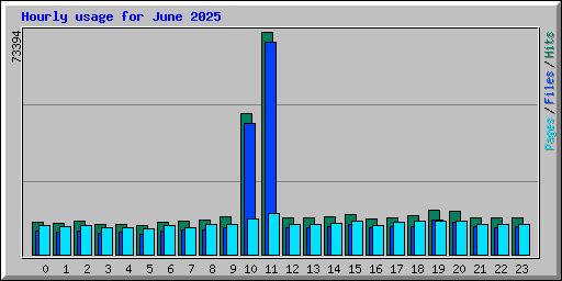 Hourly usage for June 2025
